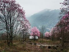-九皇山景区