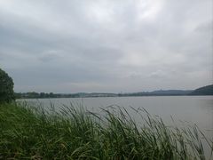 -东湖落雁景区