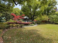 -申粤轩酒楼·三十年粤菜经典(丁香花园店)