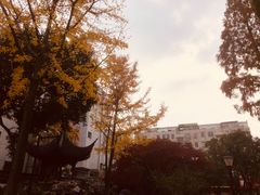 -常州古运河南大街文化旅游区-人民公园