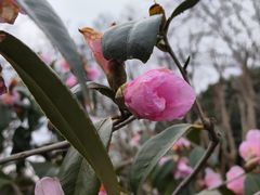 -杭州西湖风景名胜区-钱祠表忠