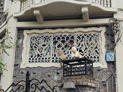 -天津五大道文化旅游区