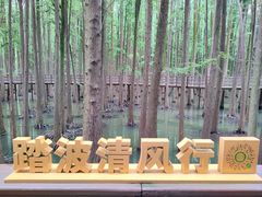 -青山湖景区