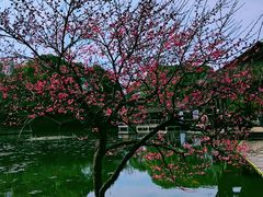 -兰亭风景区