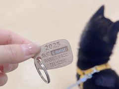 -瑞派·关忠动物医院·猫专科·犬专科(三环新城店)