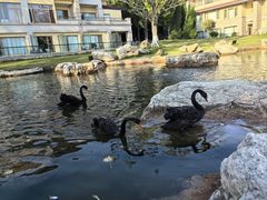 -西昌邛海宾馆