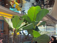 -美奈小馆·东南亚菜(福田星河COCO Park店)