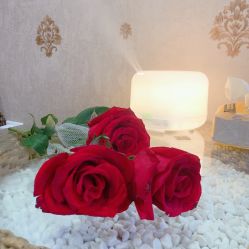 -蓝丝带产后恢复中心(南宁店)