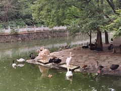 -黔灵山公园