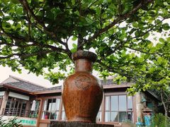 -亚龙湾热带天堂森林公园