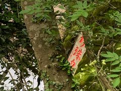 -南京珍珠泉风景区
