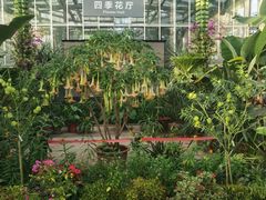 -国家植物园南园