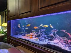 -Golden Lily河内巴黎法越料理餐厅(建国西路店)