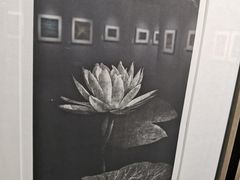 -徐汇艺术馆