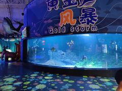 -烟台海昌鲸鲨海洋公园