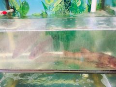 -龙记私坊小厨(星光不夜城店)
