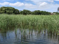 -苏州吴中太湖旅游区