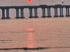 -宝安西湾红树林湿地公园