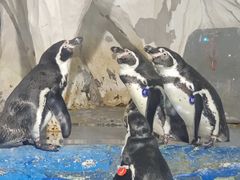 -太平洋海底世界