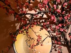 -觅唐MITONG(鸟巢店)