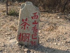 -北京西山国家森林公园