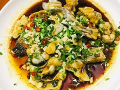 -全乐鱼馆·淳牌有机鱼直营店