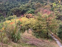 -杭州灵山景区