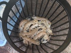-拉威海鲜市场