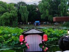 -北陵公园