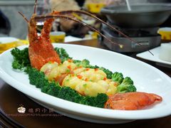 芝士焗澳龙-民国红公馆·艺文空间(颐和路店)