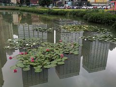 -花果园湿地公园