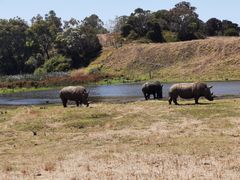 -威勒比开放式动物园