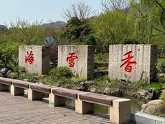 -香雪海