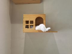 -藏猫猫咖啡主题馆(中央大道店)