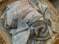 鲜毛肚-大龙火锅(老店)