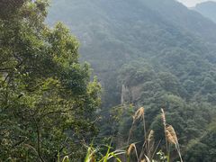 -宁波五龙潭景区