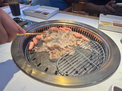 -杨记齐齐哈尔烤肉(总店)