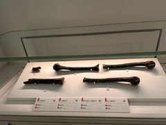 -中国闽台缘博物馆