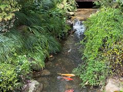 -中国茶叶博物馆(双峰馆区)