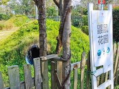 -前小桔亲子创意农场·草莓采摘·露营烧烤