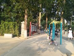 -山东大学(洪家楼校区)