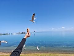 -青海湖国家重点风景名胜区