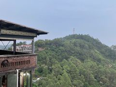 -山景山庄