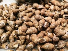 -千滋百味自助海鲜烤肉(布吉景华店)