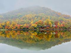 -关门山森林公园