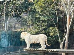 -宁波野生动物园