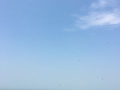 -巢湖姥山岛