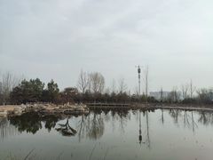 -西安浐灞国家湿地公园