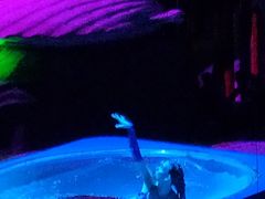 -大连圣亚海洋世界