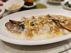 特色蒸鲑鱼-古南都·老广东酒楼(龙江店)
